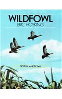 Wildfowl