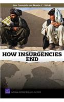 How Insurgencies End