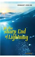 At the Sharp End of Lightning
