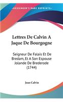 Lettres De Calvin A Jaque De Bourgogne: Seigneur De Falais Et De Bredam, Et A Son Espouse Jolande De Brederode (1744)(English)