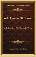 Wild Flowers Of Deseret