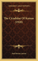Cicadidae Of Kansas (1920)