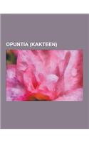 Opuntia (Kakteen): Opuntien, Opuntia Humifusa, Opuntia Echios, Opuntia Ficus-Indica, Opuntia Elatior, Opuntia Stricta, Opuntia Engelmanni