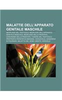 Malattie Dell'apparato Genitale Maschile