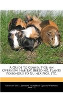 A Guide to Guinea Pigs