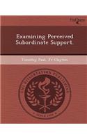 Examining Perceived Subordinate Support