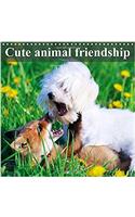Cute Animal Friendship 2017