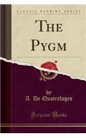 The Pygm (Classic Reprint)