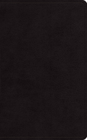 ESV Large Print Personal Size Bible, Red Letter