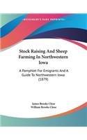 Stock Raising And Sheep Farming In Northwestern Iowa
