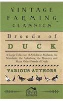 Breeds of Duck - A Large Collection of Articles on Mallards, the Mandarin, the Aylesbury, the Muscovy and Many Other Breeds of Duck