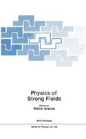 Physics of Strong Fields