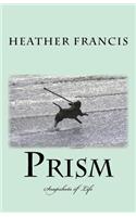 Prism: Snapshots of Life