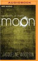 Beneath a Meth Moon: An Elegy
