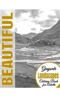 Beautiful Grayscale Landscapes Adult Coloring Book