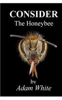 Consider The Honeybee