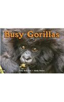 Busy Gorillas