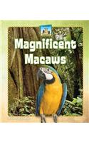 Magnificent Macaws