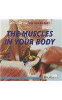 The Muscles in Your Body