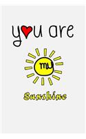 you are my sunshine: Funny couple lined Notebook journal, perfect as gift for wife, husband, girlfriend or boyfriend