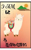 I Am 12 & LLamazing