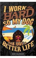I Work Hard So My Dog Can Have A Better Life