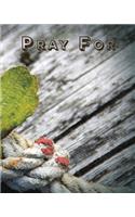 Pray For