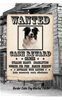 Border Collie Dog Wanted Poster