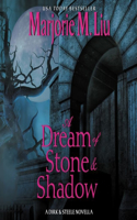 Dream of Stone & Shadow Lib/E: A Dirk & Steele Novella