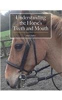 Understanding the Horse's Teeth and Mouth