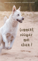 Comment occuper mon chien ?