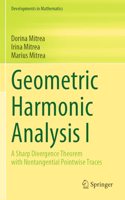 Geometric Harmonic Analysis I