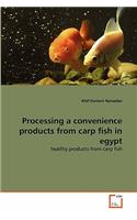 Processing a convenience products from carp fish in egypt