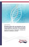 Producción de ocratoxina A en Aspergillus sección Circumdati