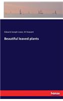 Beautiful leaved plants