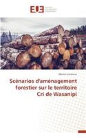 Scénarios d'Aménagement Forestier Sur Le Territoire Cri de Wasanipi