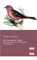 Gesang Der Vogel