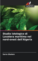 Studio istologico di Lavatera maritima nel nord-ovest dell'Algeria