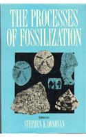 Processes Of Fossilization