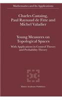 Young Measures on Topological Spaces