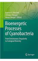 Bioenergetic Processes of Cyanobacteria