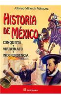 Historia de Mexico. Conquista, Virreinato, Independencia.