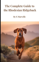 A Complete Guide to the Rhodesian Ridgeback