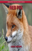 Red Fox