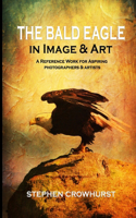 The Bald Eagle in Image & Art