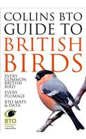 Collins BTO Guide to British Birds