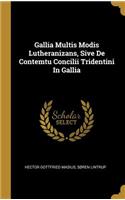 Gallia Multis Modis Lutheranizans, Sive De Contemtu Concilii Tridentini In Gallia