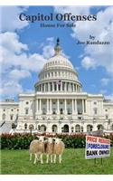 Capitol Offenses