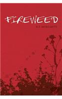 Fireweed