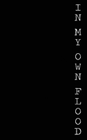 In My Own Flood